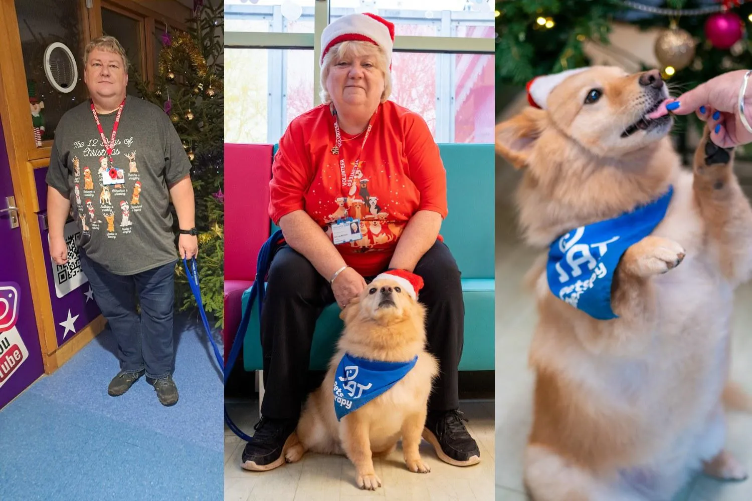 Man, woman and a dog