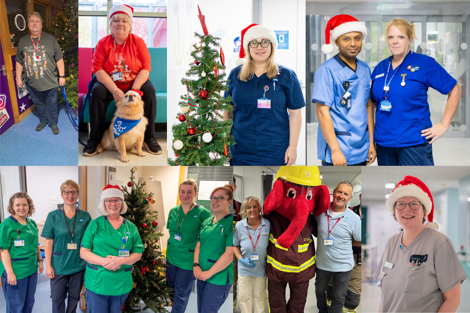 Staff and volunteers