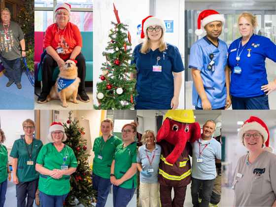 Staff and volunteers