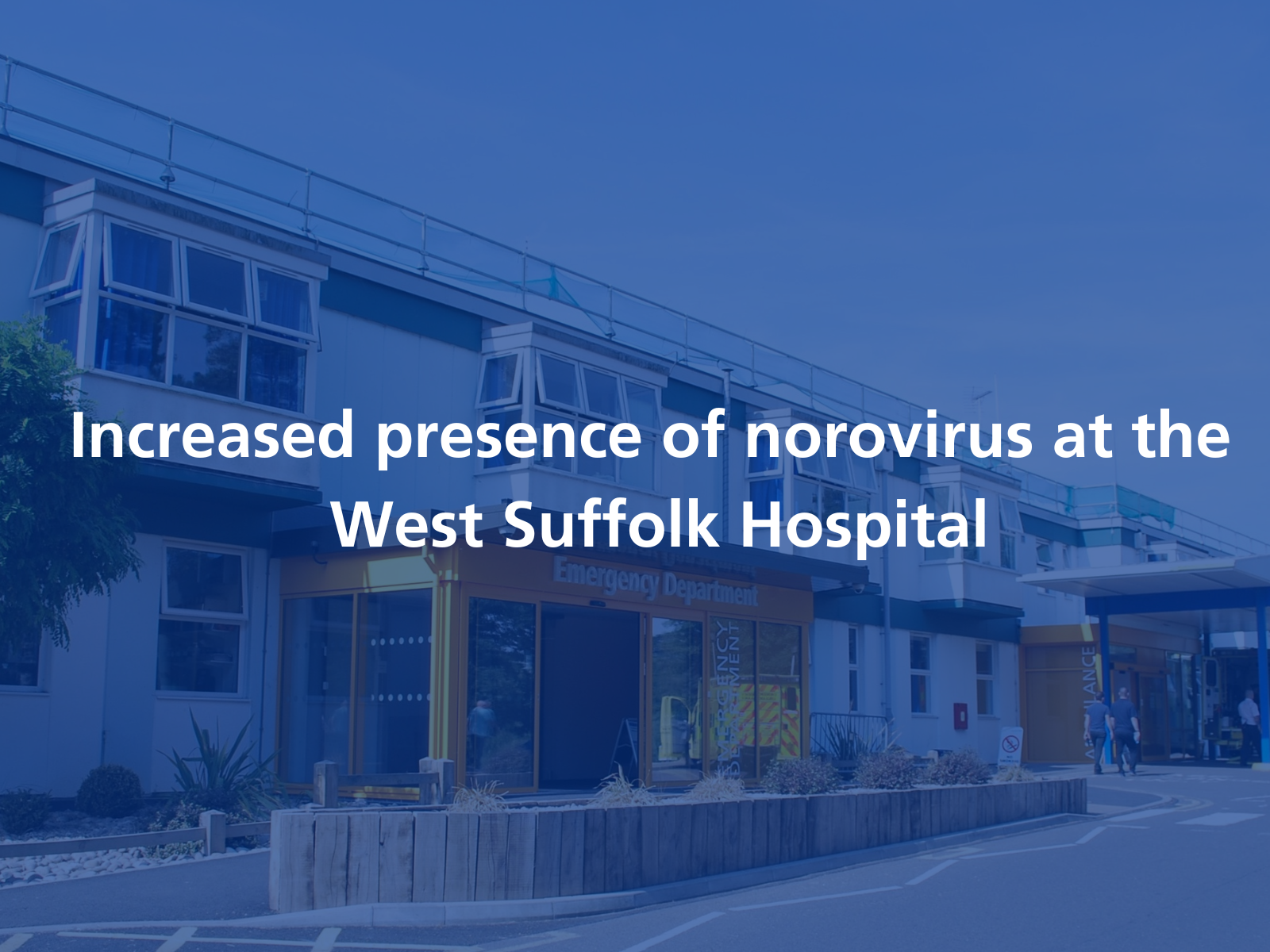 Increased presence of norovirus at West Suffolk Hospital