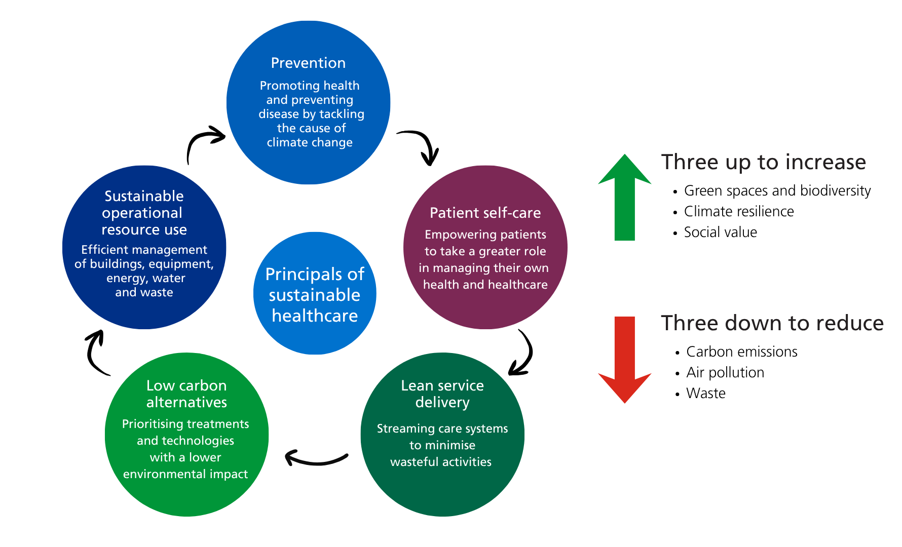 Circular diagram showing five principles of sustainable healthcare: prevention, patient self-care, lean service delivery, low carbon alternatives.