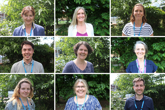WSFT staff psychology support teamv2